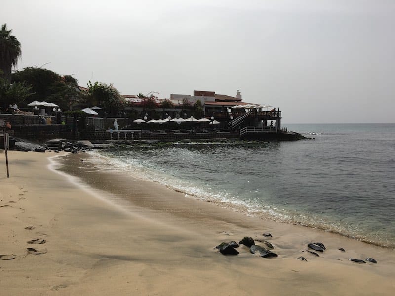20171101palm.jpg