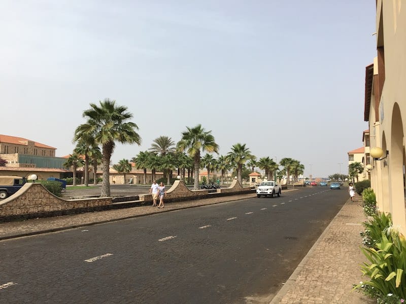 20171101walk.jpg