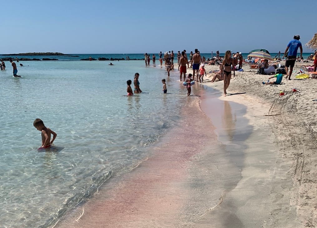 20190915pink.jpg